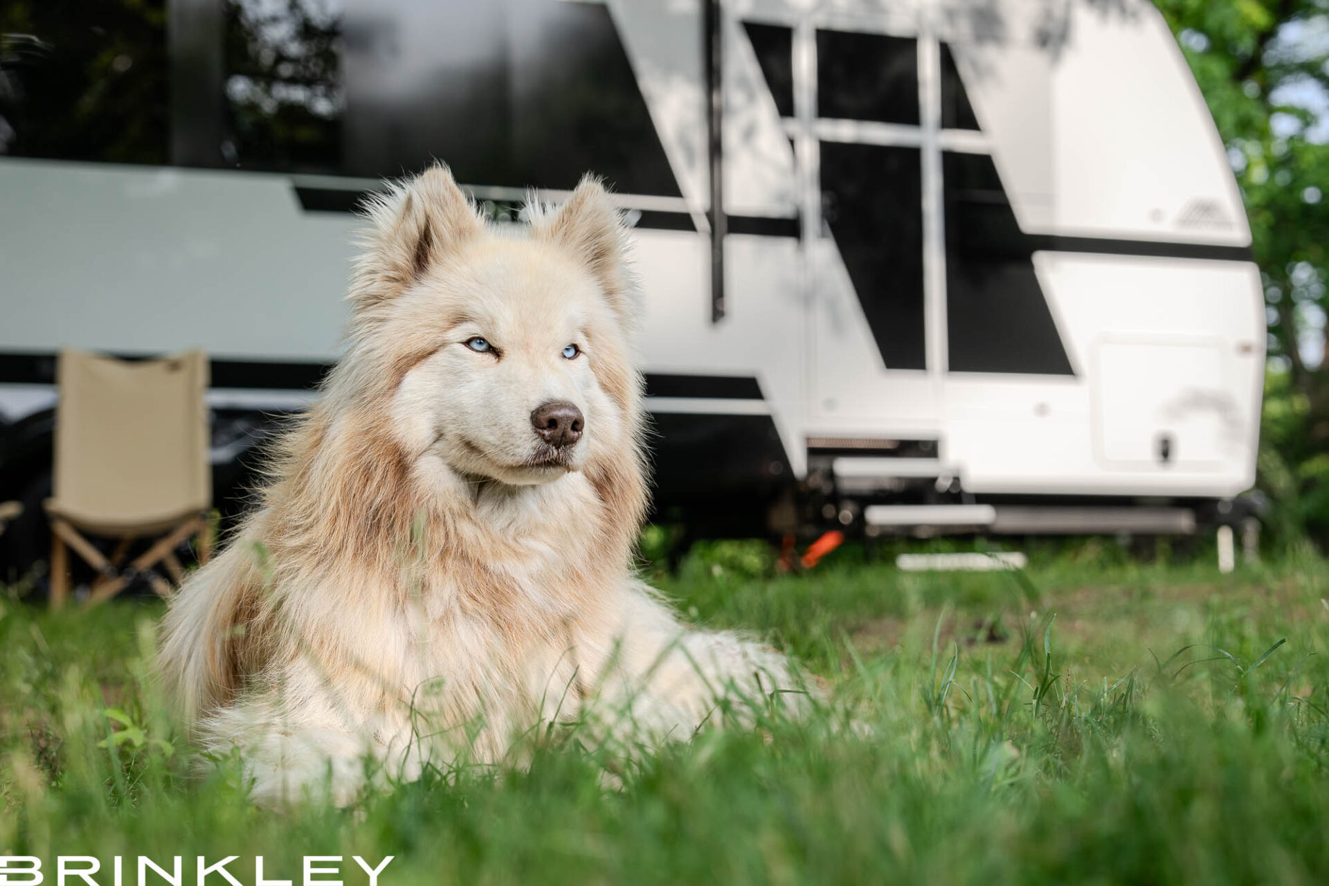 | Model I Travel Trailer Line 60 Dog/Pet Friendly Travel Trailer RV