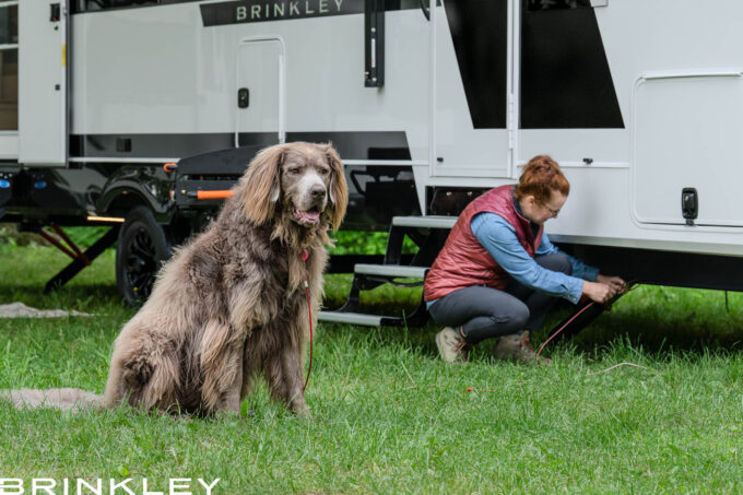 | Model I 275 Travel Trailers 42 Dog Friendly RVing with Pet & Property Tie-Down