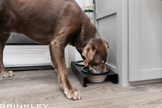 | Model Z 2680 Fifth Wheels 28 Pet Friendly RV