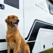 | Model Z 3110 Fifth Wheels 40 RVing with Dogs